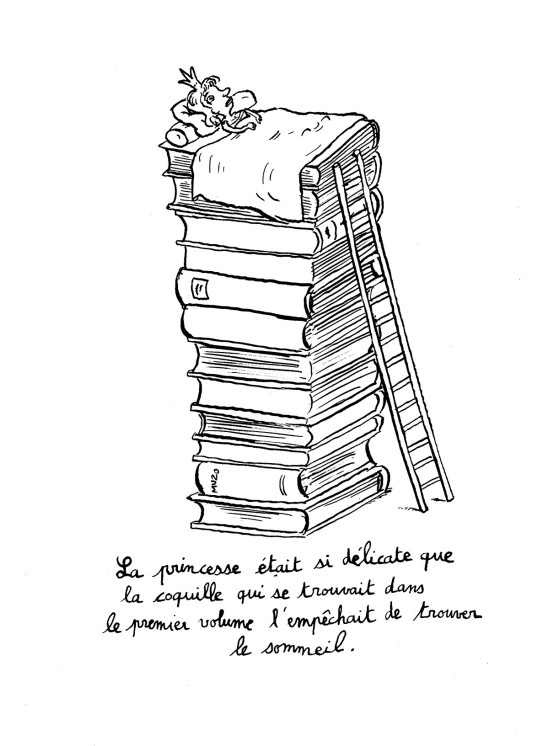 Une histoire de princesse